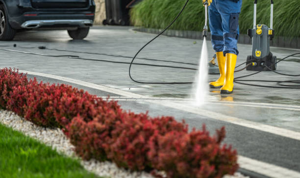 Trusted Alexandria, LA  Pressure Washing Services Experts